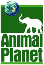 Affiche Animal Planet Documentaries