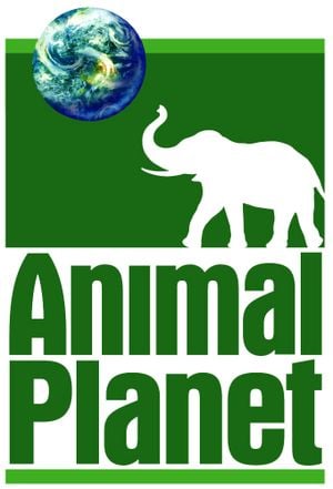 Animal Planet Documentaries