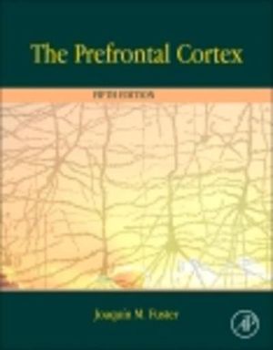 The Prefrontal Cortex