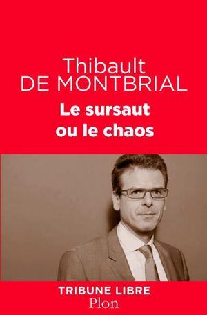 Le sursaut ou le chaos