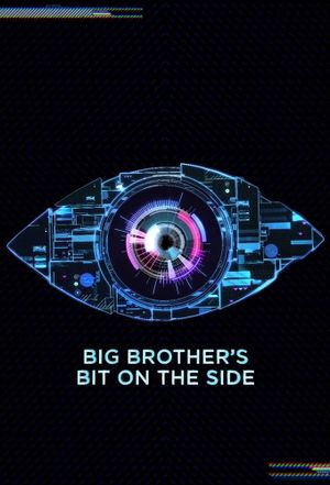 Big Brother's Bit On The Side