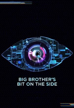 Big Brother's Bitty On The Side