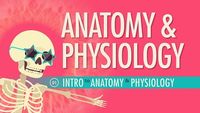 Introduction to Anatomy & Physiology