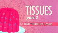 Tissues, Part 3 - Connective Tissues