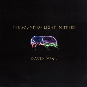 The Sound of Light in Trees