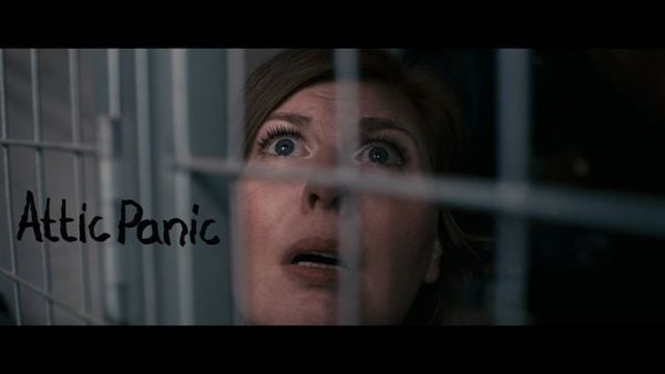 Attic Panic