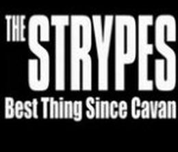 image-https://media.senscritique.com/media/000009931653/0/the_strypes_best_thing_since_cavan.jpg