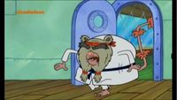 Way of the Sponge