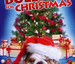 image-https://media.senscritique.com/media/000009962046/0/a_bulldog_for_christmas.jpg