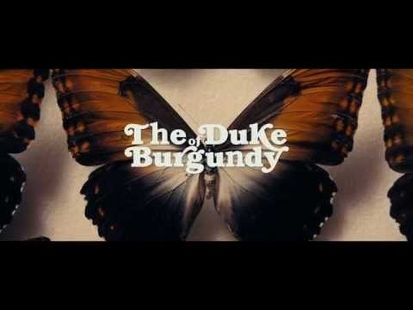 The Duke of Burgundy