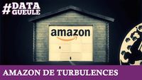 Amazon de turbulences