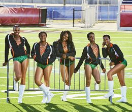 image-https://media.senscritique.com/media/000009974183/0/the_prancing_elites_project.jpg