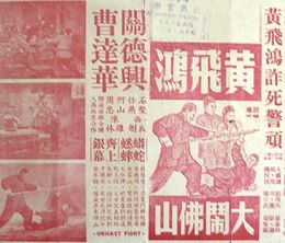 image-https://media.senscritique.com/media/000009981950/0/wong_fei_hung_s_fight_in_foshan.jpg