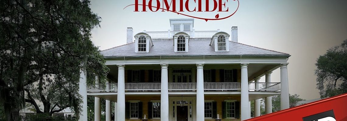 Cover Southern Fried Homicide