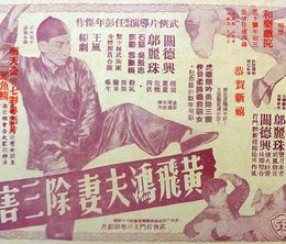 image-https://media.senscritique.com/media/000009996250/0/how_wong_fei_hung_and_wife_eradicated_the_three_rascals.jpg