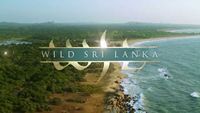 Wild Sri Lanka: Forest of Clouds