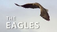 Destination Wild: The Eagles