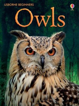 Owls: Usborne Beginners