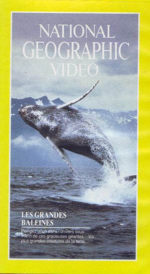 Les grandes baleines