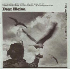 胡蝶胡蝶 Miss Butterfly