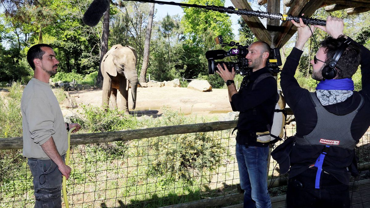 Une Saison Au Zoo Saison 14 épisode 129