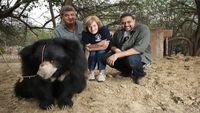 Saving India's Dancing Bears