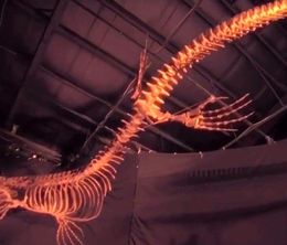 image-https://media.senscritique.com/media/000010095419/0/mega_beasts.jpg