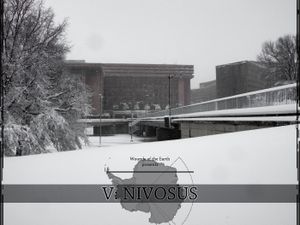 V: Nivosus