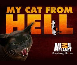 image-https://media.senscritique.com/media/000010113804/0/my_cat_from_hell.jpg