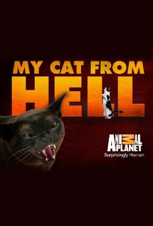 My Cat From Hell