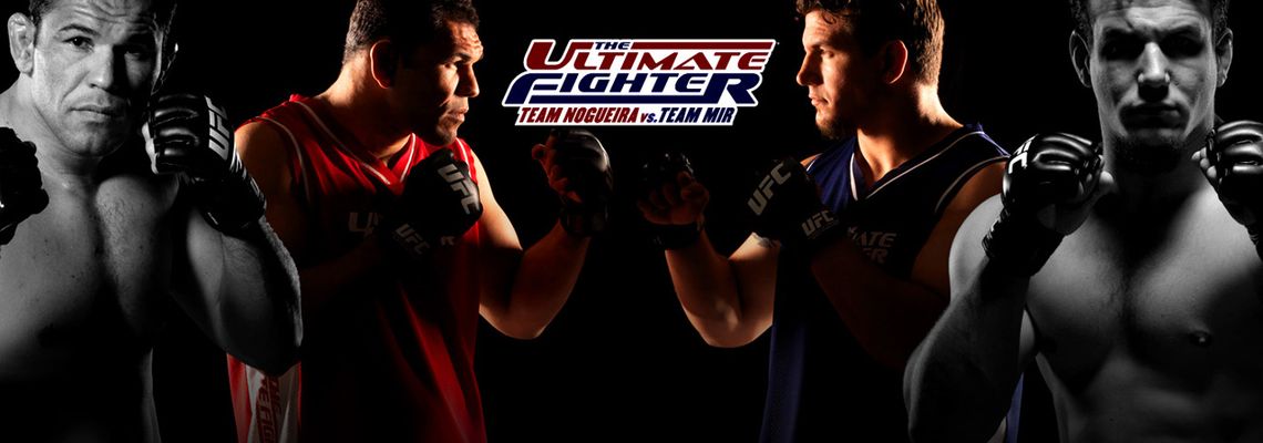 Cover The Ultimate Fighter