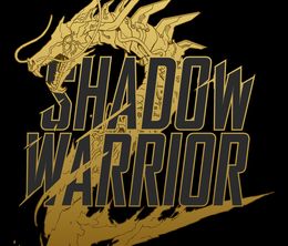 image-https://media.senscritique.com/media/000010137537/0/shadow_warrior_2.jpg