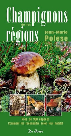 Champignons de nos régions