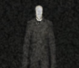 image-https://media.senscritique.com/media/000010162177/0/Slender_Man.png