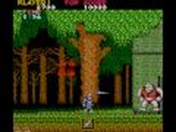 Ghosts'n Goblins