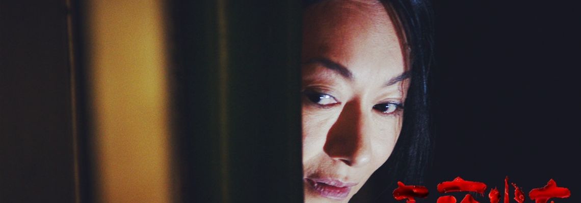 Cover Midnight Train