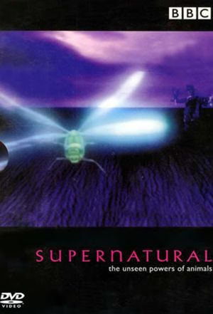 Supernatural The Unseen Powers of Animals