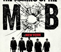 image-https://media.senscritique.com/media/000010191880/0/the_making_of_the_mob_new_york.jpg