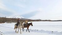 Winter Wonderland: Hakodate