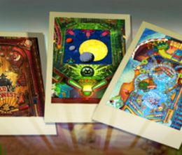 image-https://media.senscritique.com/media/000010243317/0/Collection_HD_Flipper_Pinball.jpg