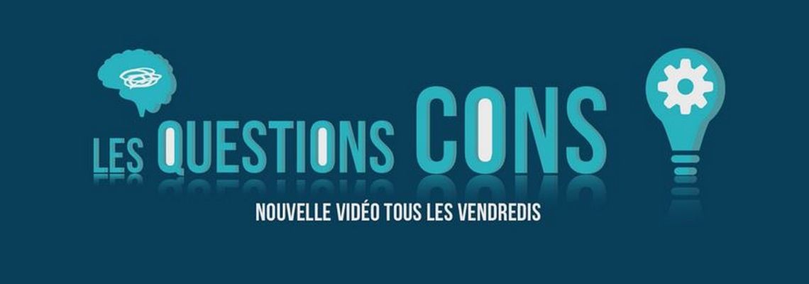 Cover Les Questions Cons