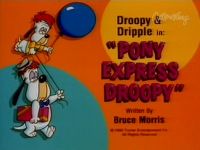 Pony Express Droopy