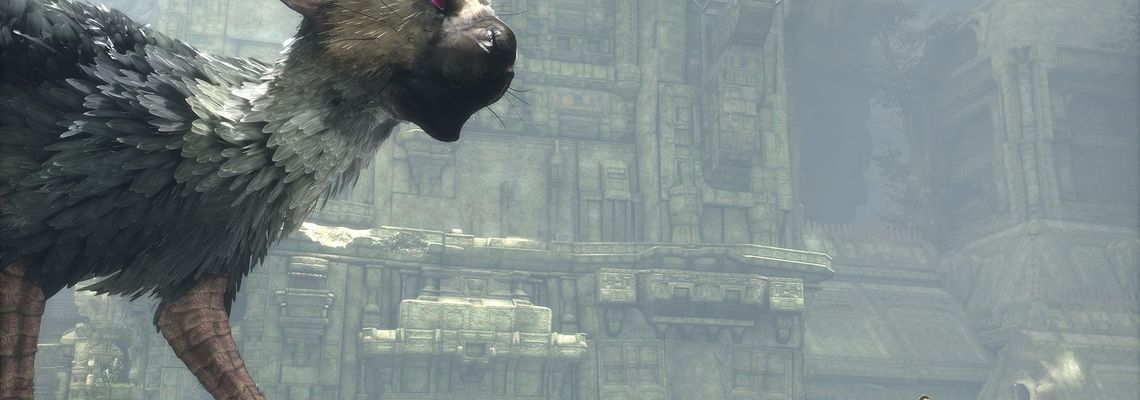 Cover The Last Guardian