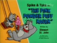 The Pink Powder Puff Racer