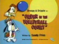 Order in the Volleyball Court