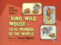 King Wild Mouse — 10th Wonder of the World