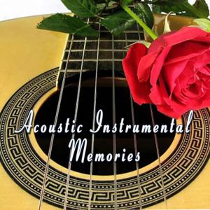 Acoustic Instrumental Memories