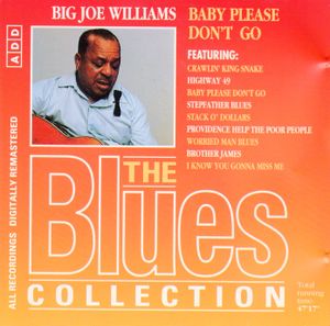 The Blues Collection: Big Joe Williams, Baby Please Don't Go