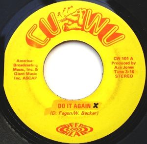 Do It Again / She's a Junkie (Who's the Blame) (Single)