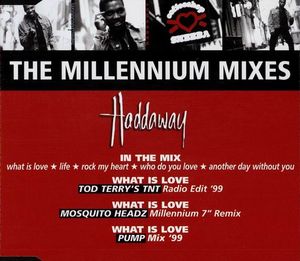 The Millennium Mixes (Single)